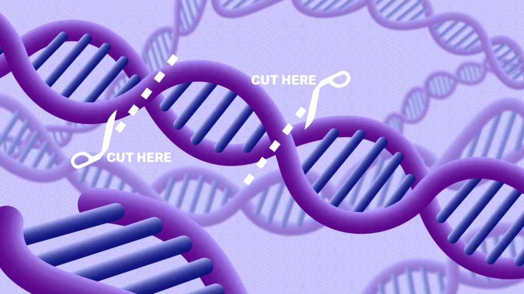How CRISPR Gene Editing May Treat and Eventually Eradicate Humanity’s Worst Diseases